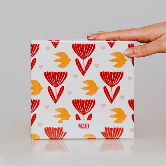 Álbum de Maio 4